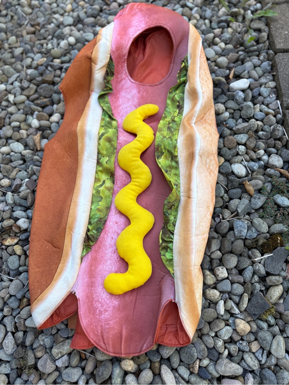 Kids Hot Dog Costume size L/XL